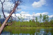 08_02 (7)
